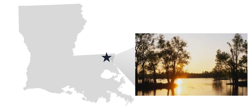 Internet Provider in Pine Grove, LA Internet Provider in Pine Grove, LA